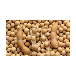 Soja de buena calidad para aceite, soja, semillas de soja con precio razonable en impuestos gratis - Product Image 5