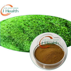 สารสกัดจากราก Symphytum officinale 20:1สารสกัดจาก <span class=keywords><strong>comfrey</strong></span> - Product Image 1