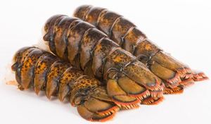 Venta al por Mayor de Langostas Congeladas de California, Producto de Mariscos Premium Entero para Compradores al por Mayor y Distribución Global - Product Image 6