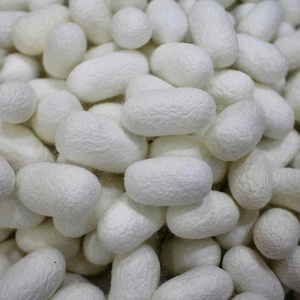 Silkworm Cocoon Vietnam Supply Premium Silkworm Cocoon Natural Material for Silk Extraction Facial Cleanser and Art <b>Creation</b> - Product Image 6