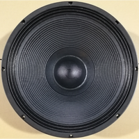 Haut-parleur professionnel de 18 pouces pour DJ en extérieur, 900W, aimant de 220 mm, bobine vocale de 4 pouces, haut-parleur de performance 18TBW100