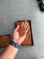 ANNA DO Échantillon gratuit Riz rouge gluant sain Riz au sang de dragon à grain long Riz Arroz Rouge Bera en 1kg 500gr 2kg 5kg Sac sous vide