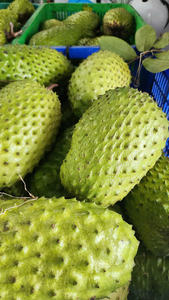 Soursop surgelé de qualité supérieure du Vietnam, saveur naturelle sucrée, commande en gros, prix avantageux - Product Image 6