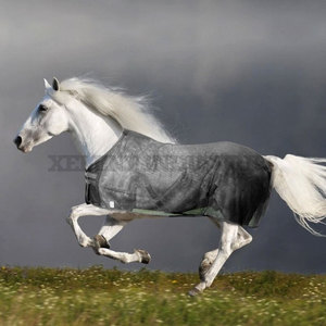 Ganzjahres-wasserdichter Equine Blanket Sheet Atmungsaktiver Pferde teppich für Westerns attel für stabilen und Outdoor-Schutz - Product Image 1