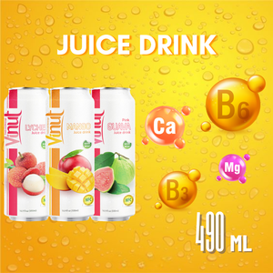 Proveedor de fabricación de Vietnam 16,9 floz 100% Zumo de fruta de mango Bebida con pulpa Sin azúcar Muestra gratis baja en grasa Etiqueta privada - Product Image 3