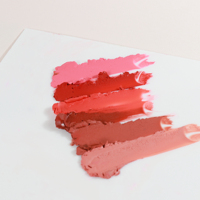 Natinda maquillage coréen OEM ODM OBM 12 rouge à lèvres brun humeur en noir 3.5g Collection de rouges à lèvres inspirés de l'art