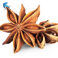 Vente en gros d'anis étoilé 100% d'anis naturel anis étoilé séché du Vietnam
