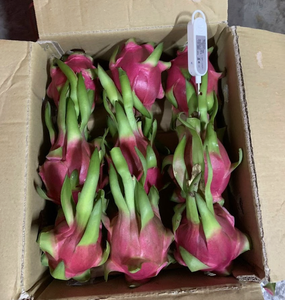 Suministro a granel de fruta de dragón fresca de Vietnam de material natural para fábricas de jugo e importadores de todo el mundo - Product Image 3