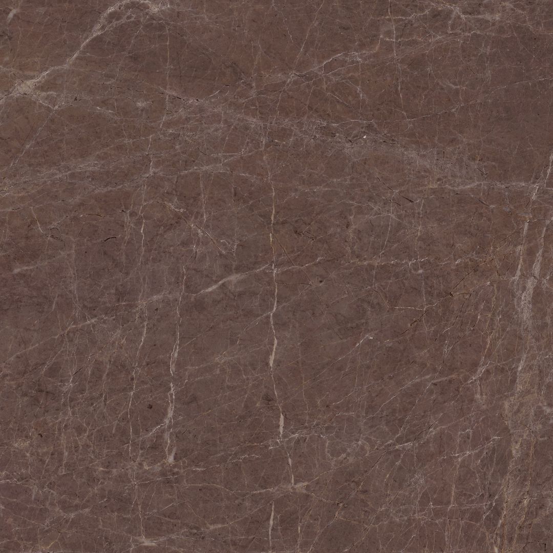 สีน้ำตาล