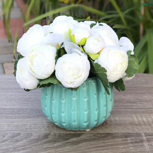 CUD2504TB - Petit pot à cactus en céramique bleu sarcelle - 4 H - Product Image 2