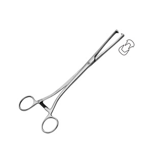Tenáculos Museux Rectos con 2x2 Dientes, Instrumentos de Ginecología Uterina, 24 cm/9 1/2\", Acero y Acero Inoxidable # 2-8 mm - Product Image 1