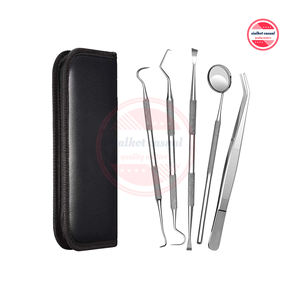 Sondas de acero inoxidable de alta calidad, escaladores de sondas de ortodoncia, Kit quirúrgico, bolsa con logotipo personalizado - Product Image 1