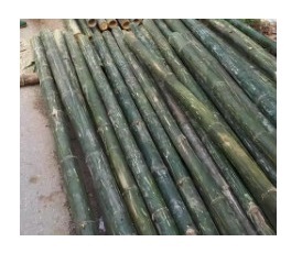 Poste de bambú de exportación Ecológico Soporte para plantas Estacas de jardín Fuerte Duradero y ligero con precio competitivo - Product Image 4