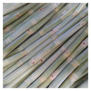 Canne à sucre congelée pleine de jus naturel, prête pour l'exportation Canne à sucre congelée avec saveur sucrée et croustillante par 99GD Viet Nam - Product Image 2
