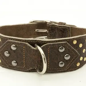 art 103 studded collar collar for carrying your dog around medium size made of durable leather