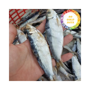 Arenque seco natural 100% al por mayor, marisco vietnamita de alta calidad al mejor precio - Product Image 1