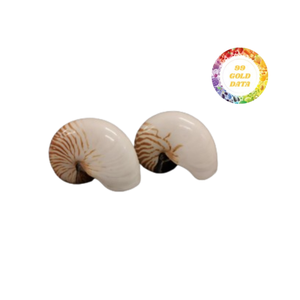 Conchas marinas Nautilus pulidas con abulón natural en tamaño grande para una elegante decoración costera del hogar y uso artesanal creativo - Product Image 1