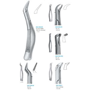 Instrument chirurgical dentaire à poignée anatomique en acier inoxydable OEM, pinces à extraire les dents, forceps radiculaires pour extraction dentaire manuelle - Product Image 6