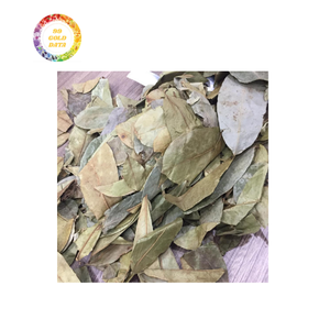 Feuilles de graviola séchées à prix abordable pour l'exportation en vrac, qualité supérieure avec des prix abordables pour les ventes en gros - Product Image 6