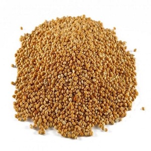 เมล็ดข้าวสาลีสีแดงขาวและเหลือง - Product Image 4