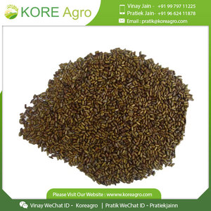 Graines de Cassia Tora de haute qualité cultivées en agriculture biologique 100% sans caféine à vendre - Product Image 2