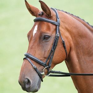 Brida flash de cuero occidental Ecuestre para carreras logotipo personalizado caballo Halter - Product Image 1