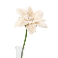 Premium Weiße Filzblume mit Langem Grünem Stiel Handgefertigt Umweltfreundlich Leichtgewichtig Langlebig Dekorativ für Zuhause Hochzeit Neujahr