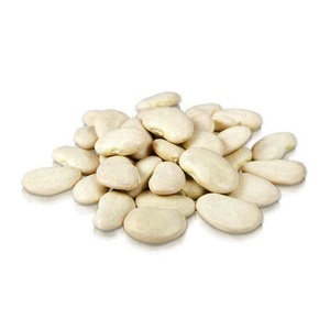 Wholesale Supplier Of Bulk Fresh Stock of Large Lima <b>Beans</b> - Product Image 1