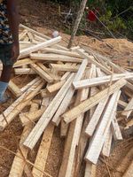 Planches en bois de balsa - Bois équatorien de haute qualité avec un design contemporain pour appartements - Garantie 1 an - Solution complète pour le projet