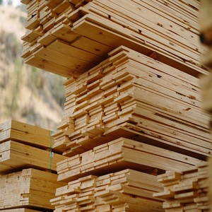 Madera de Hinoki Natural de Alta Calidad, Resistente al Agua, Ecológica, Diseño Contemporáneo, Madera para Construcción, Troncos de Madera Baratos - Product Image 5