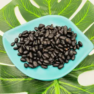 Top Quality Lentils Beans Organic Black Lentils black urad dal for sale