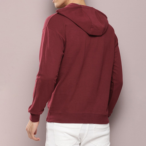 Sweat-shirts à capuche pour hommes, unis, 100% coton, respirants, vêtements d'hiver, logo personnalisé, couleur légère, taille premium, poche, coupe régulière - Product Image 2
