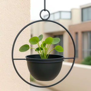 Jardinière murale décorative en fer forgé pour la décoration murale du jardin, ajoutant de l'intérêt visuel et un attrait vert - Product Image 1