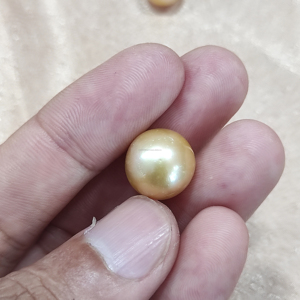 Esta exquisita perla marina dorada de 7-13 mm, de grado A en un lote, exuda una elegancia atemporal, con belleza natural y un encanto lujoso. - Product Image 3