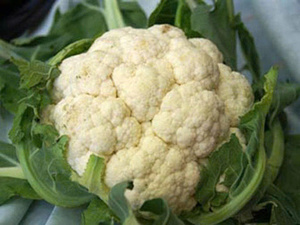 ฟาร์มสู่โต๊ะสด: dalat อินทรีย์บรอกโคลี, เกรดส่งออก - Product Image 3