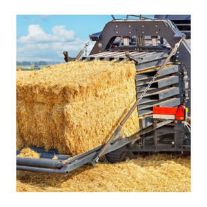 Calidad Premium doble comprimido secado al sol paja de trigo pacas de heno alimentación animal para ganado caballos camellos ovejas - Product Image 4