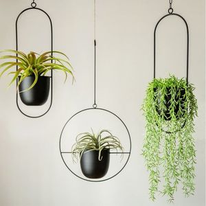 Mini jardineras colgantes de metal de buena calidad para exteriores e interiores, uso para decoración de hogares y hoteles a precio barato - Product Image 5