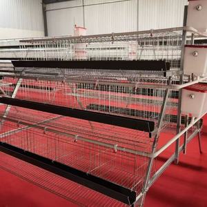 ระบบกรงเลี้ยงไก่ไข่แบบชุบสังกะสีชนิด A ความจุ 1,000 ตัว พร้อมระบบกำจัดมูลไก่แบบแมนนวล สำหรับฟาร์มสัตว์ปีก - Product Image 6