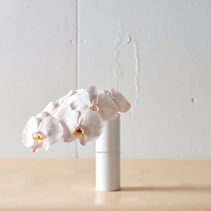 Vente chaude Métal Populaire Fleur Vase À La Main Cylindre Forme Blanc Vase Floral pour La Maison Salon Vaisselle Décor - Product Image 2