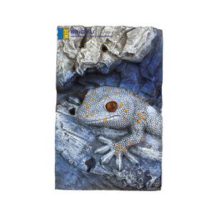 แผ่นรองพื้นสำหรับเลี้ยงกิ้งก่า ขนาด 29x19x9 ซม. ลายหินเหมือนจริง น้ำหนักเบา กันน้ำ ทนทาน ทำจากโฟม EPS 3 มิติ - Product Image 6