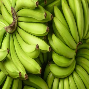 Acheter des bananes fraîches en ligne, des bananes fraîches agricoles en vente - Product Image 6