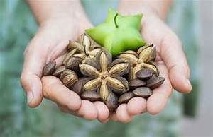 HUILE DE SACHA INCHI PRESSÉE À FROID À BASE DE PLANTE ÉTIQUETTE PURE PROPRE SANTÉ IMMUNITAIRE - Product Image 3