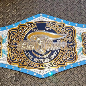 Ceinture en cuir véritable souple de 2mm d'épaisseur pour la lutte, trophée durable des arts martiaux, tenue à l'avant. - Product Image 1