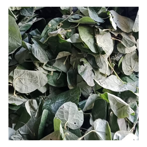 พุดดิ้งใบเยลลี่หญ้าสีเขียวอบแห้งทำจากเยลลี่ใบไม้สีเขียว - Product Image 5