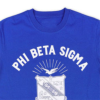 Hochwertiger Winter-Herrenpullover PBS Regular Sleeve Blau 100% Baumwolle Phi Beta Sigma Pullover mit Team-Logo Frontprint Fraternity