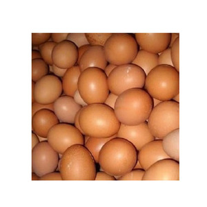 ไข่ไก่สดสีน้ำตาลใช้ในฟาร์ม