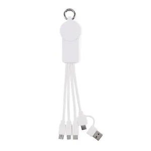 ICAB Customized 2-in-1 <b>Type</b> <b>C</b> Charging <b>Cable</b> for USB Gadgets Promotional Product - Product Image 3
