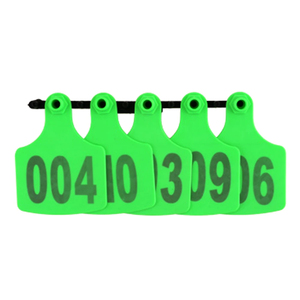 Frazier Thú Y Phẫu Thuật Cụ Chăn Nuôi Gia Súc Bò Lợn Tai Tag Dấu Hiệu Với Các Laser Kỹ Thuật Số Gõ Đồng Đầu Bông Tai - Product Image 6