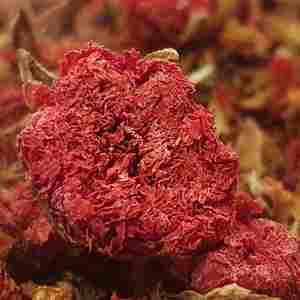 2026 Natural Pomegranate Dry <b>Flowers</b> Reasonable Price Dry <b>Flowers</b> High Quality 100% Mature Wholesale Storage Type Cool Place - Product Image 2