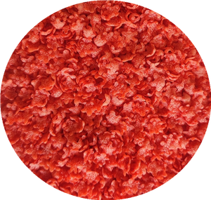 Línea Industrial <span class=keywords><strong>de</strong></span> Secado y Esterilización Continua por <span class=keywords><strong>Microondas</strong></span> para Pan Rallado - Product Image 5